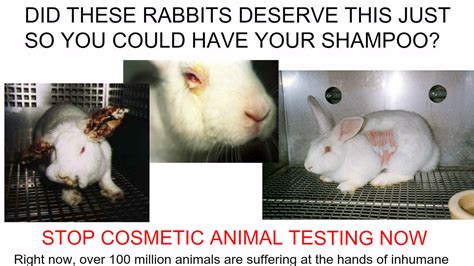 palmolive not testing on animals.